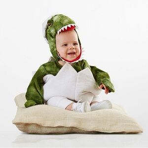 Pottery Barn Kids Baby Dinosaur Halloween Costume